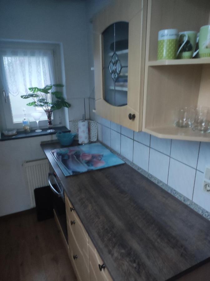 Kleine Gemuetliche Wohnung Zwickau Exterior photo