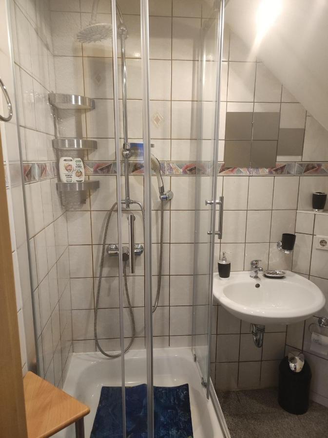 Kleine Gemuetliche Wohnung Zwickau Exterior photo